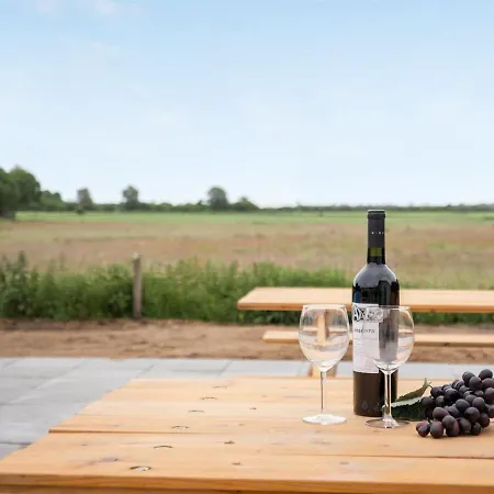 Melin - 7km From The Sea In Western Jutland By Interhome Holiday home Hojer